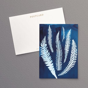 British Ferns Postcards FREE SHIPPING Perfect as Thank you Notes or Wall Art Botanical Cyanotypes Gift for Writers Pack of 5 image 5