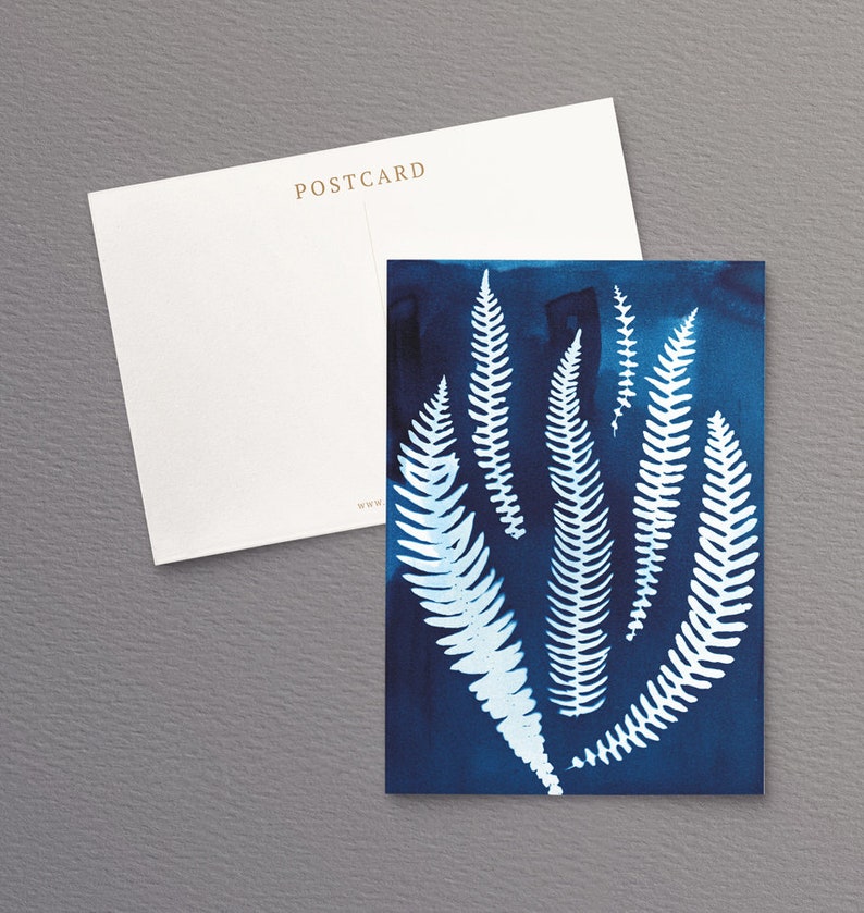 British Ferns Postcards FREE SHIPPING Perfect as Thank you Notes or Wall Art Botanical Cyanotypes Gift for Writers Pack of 5 image 5