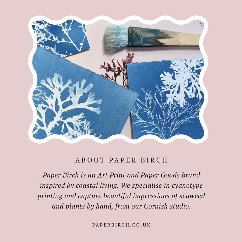 Paper Birch is an Art Print and Paper Goods brand inspired by coastal living. We specialise in cyanotype printing and capture beautiful impressions of seaweed and plants by hand, from our Cornish studio.