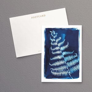 British Ferns Postcards FREE SHIPPING Perfect as Thank you Notes or Wall Art Botanical Cyanotypes Gift for Writers Pack of 5 image 6