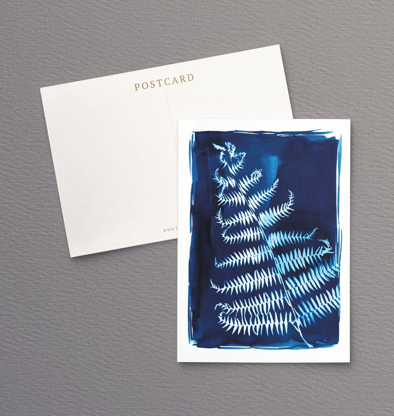 British Ferns Postcards FREE SHIPPING Perfect as Thank you Notes or Wall Art Botanical Cyanotypes Gift for Writers Pack of 5 image 6