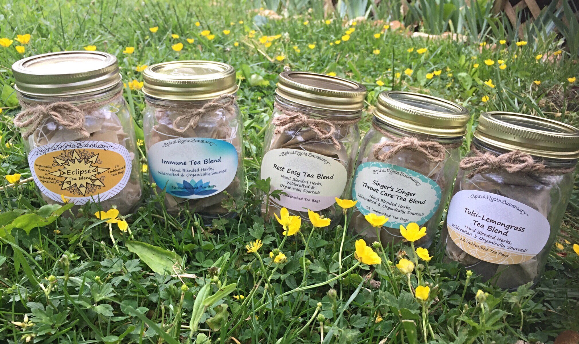 Assorted Organic Herbal Tea Set With FIVE FLAVORS Immune Tea, Tulsi