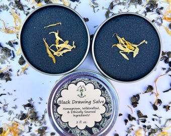 Activated Charcoal & Clay Salve | Organic Herbal Balm for Bug Bites + Skin Comfort