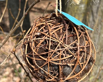 May include: A brown, spherical bird nest made of woven twigs and branches, hanging from a tree branch with a blue tag and twine.