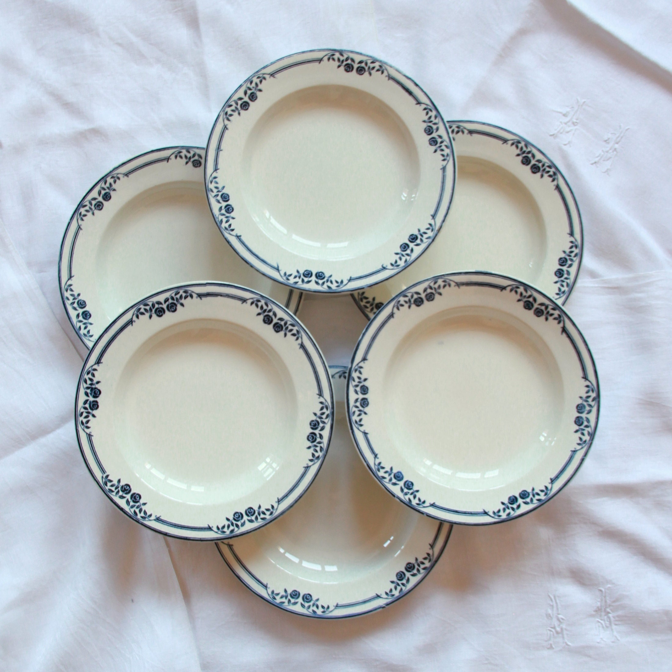 Lot de 6 Assiettes Creuses Terre Fer Faïence Ancienne Salins Modèle Saussure Ec Vintage Table Fête D