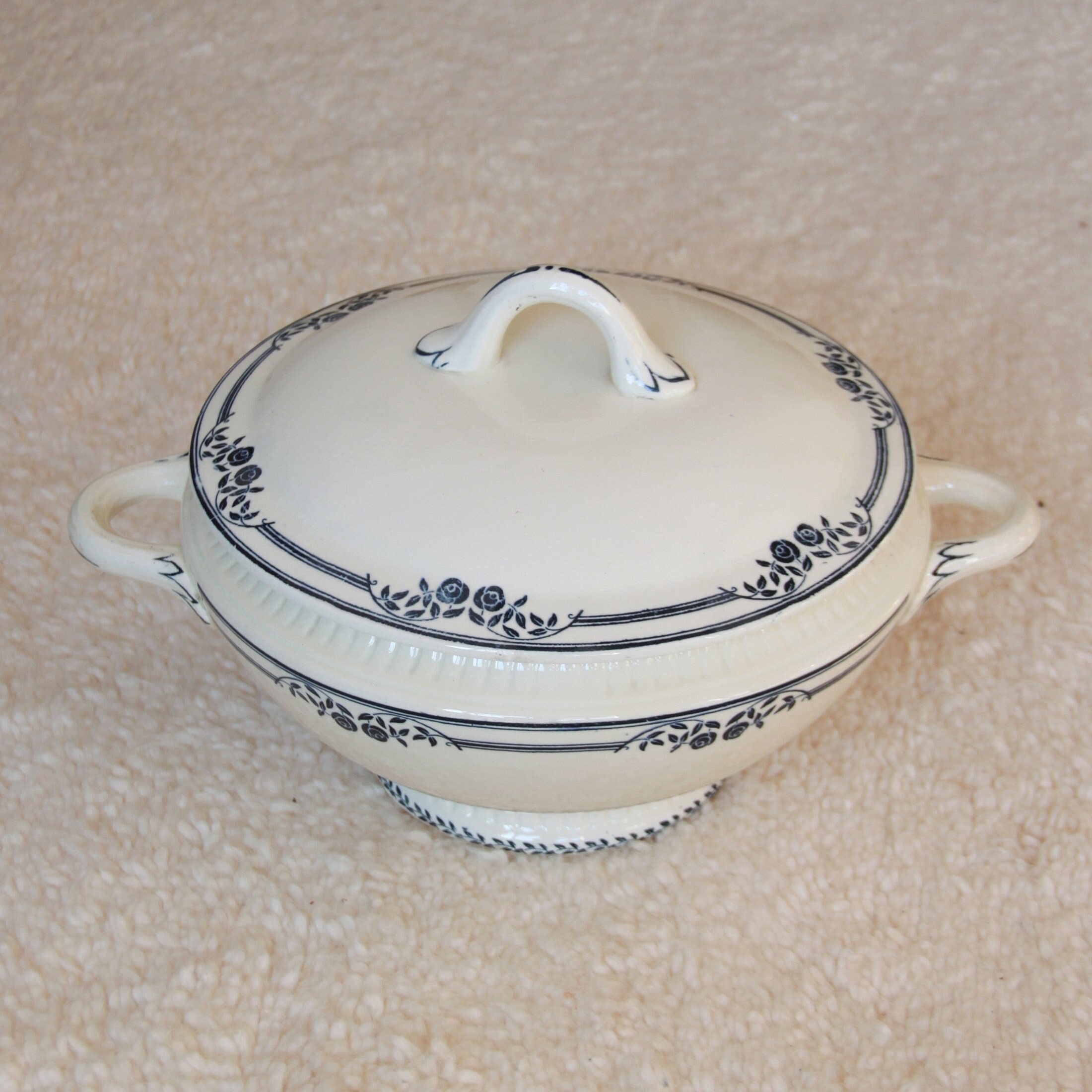 Grande Soupière Légumier Salins Saussure Ab Terre de Fer Fleurs Bleues Vintage Table Fête Décoration