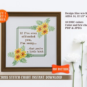 Swearing cross stitch pattern. You're a little b.tch cross stitch. Counted modern cross stitch PDF. Snarky cross stitch. Sunflower border