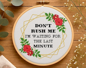 Funny Sarcastic Quote Cross Stitch Pattern - Last Minute (PDF Download)