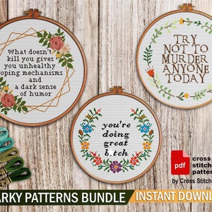 Snarky Funny Cross Stitch Pattern Bundle - Easy Counted Cross Stitch Chart PDF - Rude Sarcastic Quote Decor - Adult Hand Embroidery Design