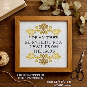 Funny Cross Stitch Pattern PDF. I Pray Thee Be Patient For I Hail From The 1900s. Sarcastic Quote with Vintage Frame Snarky Embroidery Chart