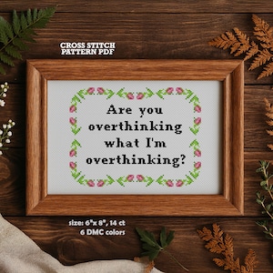May include: A framed cross-stitch pattern with the text "Are you overthinking what I'm overthinking?" surrounded by a floral border. The frame is brown, and the dimensions are 6" x 8". The pattern uses 6 DMC colors.
