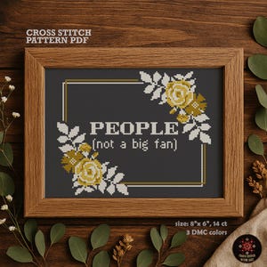 Funny Introvert Cross Stitch Pattern – People Not a Big Fan (PDF Pattern)