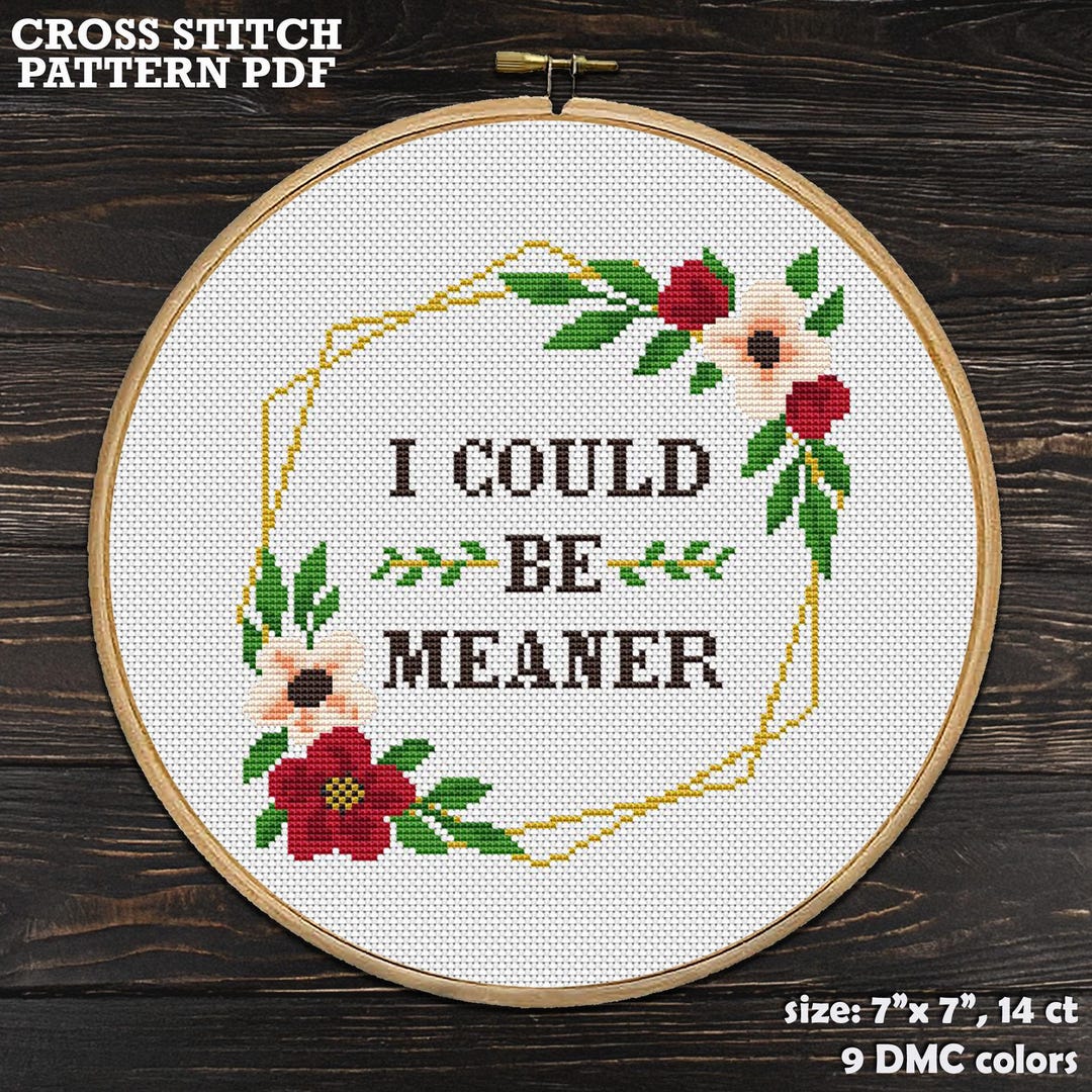 Funny Sarcastic Cross Stitch Pattern: I Could Be Meaner (PDF Pattern ...