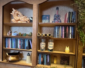 Miniatuur curiosaplanken, met magische flesjes, boeken, stenen, dinosaurusschedel en boekrollen