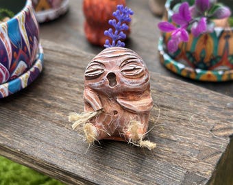 Baby brown Mandrake with purple streak