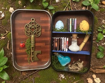 Miniatuur rariteitenkabinet met drakeneieren, magische flesjes, perkament en drakenschedel