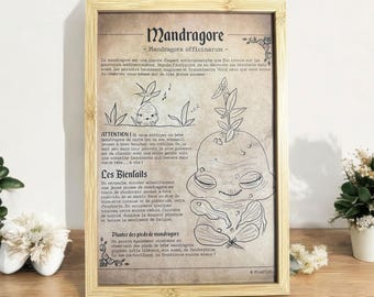 Baby Mandrake-poster en de deugden waar we minder van wisten