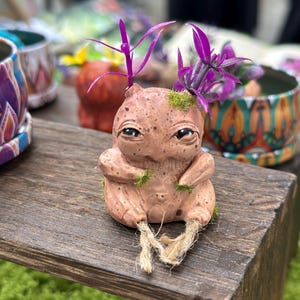May include: A whimsical, handcrafted ceramic figurine of a creature with a speckled, tan body, large eyes, and purple floral accents. The figurine is seated with its legs dangling, and is adorned with green moss. It is displayed on a wooden surface.
