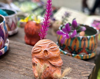 Baby orange Mandrake with fuchsia streak