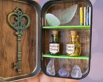 Miniatuur rariteitenkabinet, met mini-mandrake-drankjes, natuursteen, boeken, feeënvleugels en de sleutel tot de verbeelding