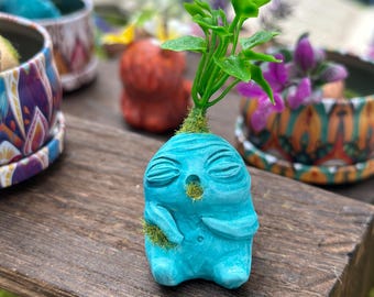 Sleeping baby Mandrake, turquoise with a large green tuft