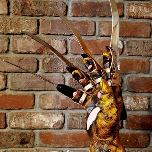 Freddy Handschuh
