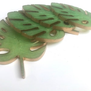Goldleaf Tropical coasters Monstera Tropical leaves Summer Drink coasters Jungles leaf Island Decor Beverage coffee Paradise Cocktail