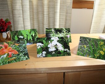 Notecards - Wildflower Notecards, Tawny Daylilies, Multiflower Roses, Wild Rose, Iris, Arrowleaf, Swamp Mallow, Canal, flowers, Swamp