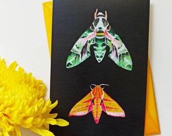 Set of 12 Postcards Monarch Winged Insects Kraft Cards 4.25 x 5.5 Post Cards Stationery Cute Bug Cards Invitations BEAUTIFUL BUTTERFLIES