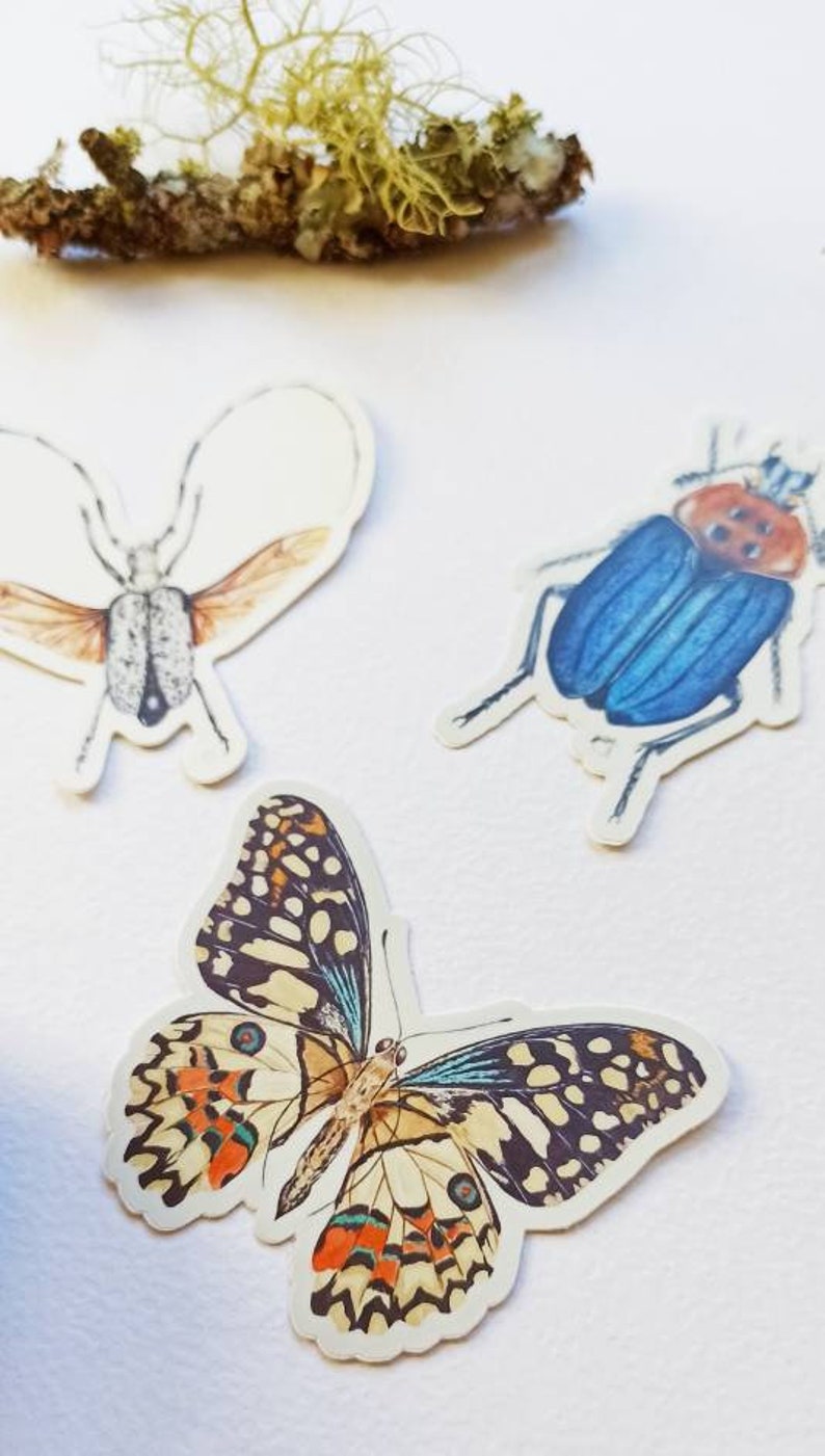 Insect vinyl stickers bugs stickers pack butterfly waterproof nature stickers beetles decals iPad stickers