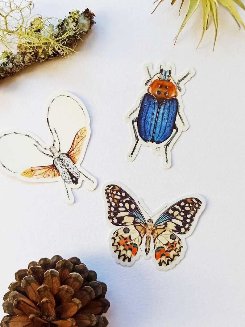 Insect vinyl stickers bugs stickers pack butterfly waterproof nature stickers beetles decals iPad stickers