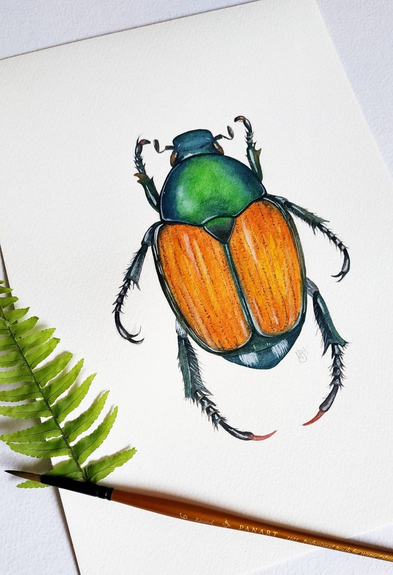 Insect art beetle print Japanese beetle painting Natural | Etsy