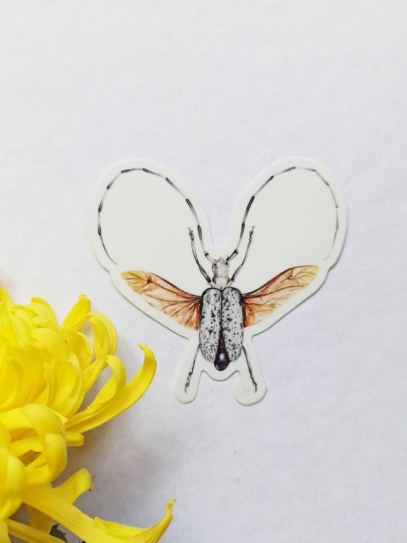 Insect vinyl stickers bugs stickers pack butterfly waterproof nature stickers beetles decals iPad stickers