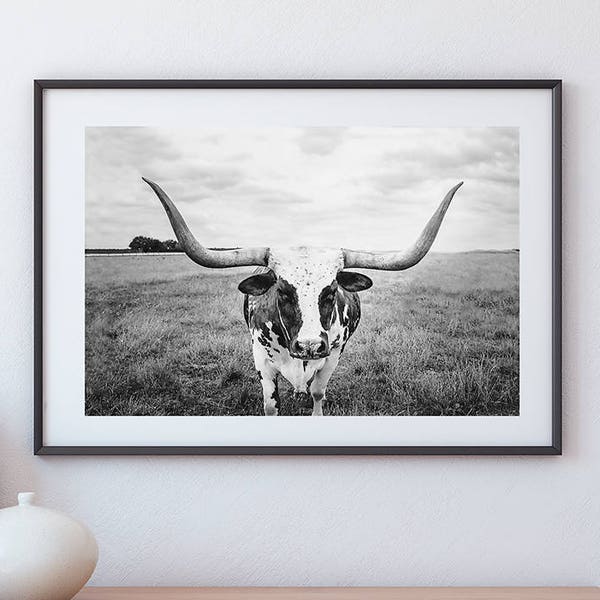 Impresión de Longhorn, Descarga digital, Fotografía de ganado, Arte de pared de rango, Imprimible de granja, Regalo para vaqueros, Arte de Texas, Boho moderno, Impresión de vaca