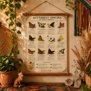 May include: A decorative poster titled "Butterfly Species of North America" features illustrations of various butterflies. The poster is printed on a cream-coloured background and is displayed with wooden rods and a hanging string. The poster includes the text "Olive & Oak."