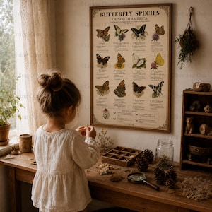 Butterfly Species of North America | Vintage Nature Study Print | Homeschool Wall Art | Matte Poster 12x18