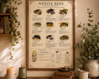 Native Bees Collection Print | Vintage Nature Study Poster | Digital Download | Homeschool Wall Art