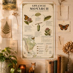 May include: A vertical educational poster titled Life Cycle of a Monarch, featuring illustrations of the butterfly's stages, a North American migration map, and text details. The cream-colored print includes black text, botanical drawings, and a map.
