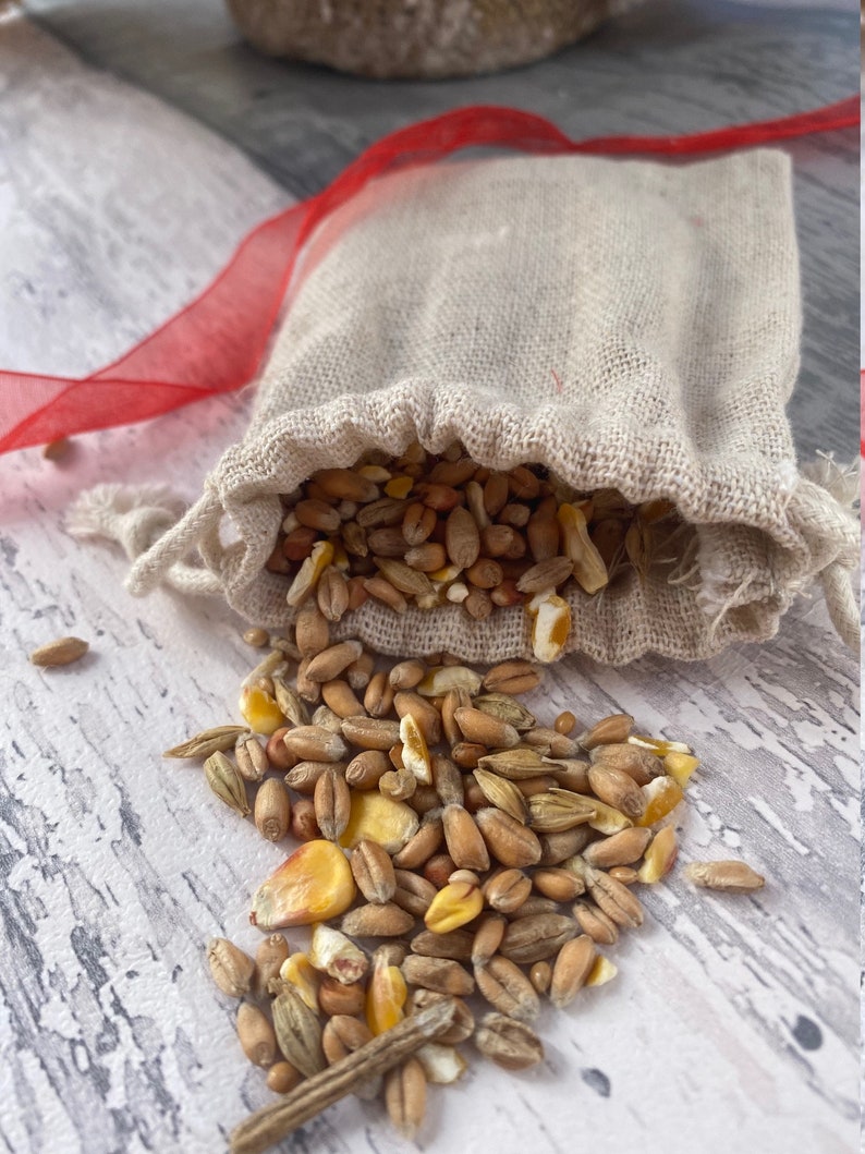 Magic Reindeer Food Reindeer Food Christmas Eve Box Bird Etsy UK