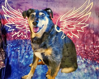 Personalized Pet Dog Blanket - Soft Touch Cat Throw Blanket - Vibrant Colors Pet Memorial Remembrance Honor Customized Throw Blanket 50x60