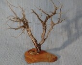 Sage Wisdom Tree