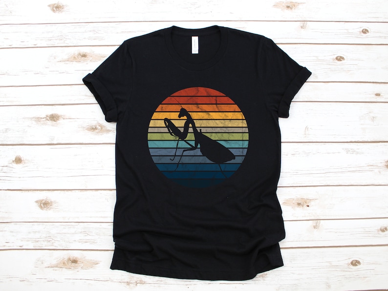 May include: Black t-shirt with a vintage-style graphic of a praying mantis in front of a rainbow sunset.