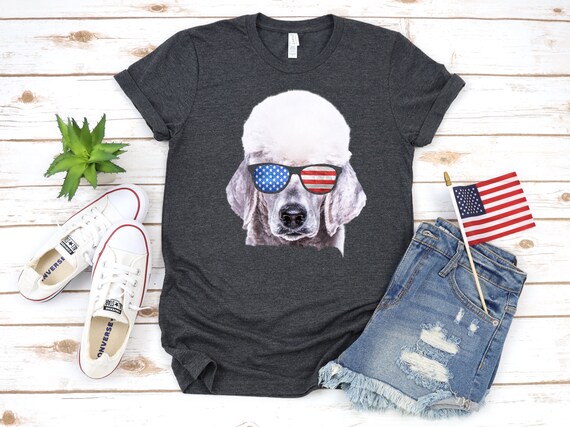 Hunde-Outfit Amerikanische Flagge – Lustiges Popsicle-Design Für 4. Juli, Größe XS (für Hunde Ca. 6–7,3 Kg), Auch Für Katzen Geeignet