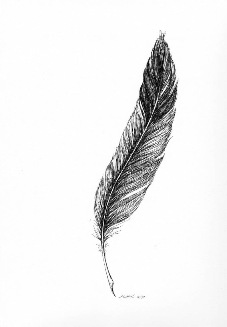 Hand drawn Eagle Feather - ink on Bristol paper, made to order.
