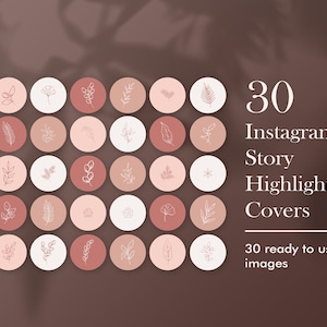 30 Instagram Highlight Cover, Blush Instagram Highlights, Social Media Icons, Rose Highlight Cover, Instagram, Instagram Highlight Cover