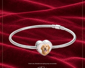 May include: A silver-toned snake chain bracelet featuring a heart-shaped charm with a printed image of a golden retriever. The text "Personalized photo charms" and "Terra's VISIONS" is visible, along with "Charm only. Bracelet and styling props not included."