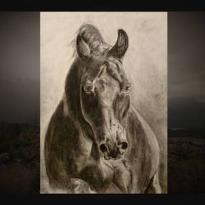 Equine Portraits - Get a Custom Pencil/Charcoal Drawing of your Horse! by Ashley Nelson
