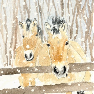 Norwegian Fjord Horses in Snow, Fine Art Watercolor Print by Ashley Nelson
