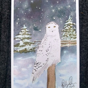 Puede incluir: Una pintura de acuarela de un b&uacute;ho nival posado en una rama en un bosque nevado. El b&uacute;ho tiene ojos amarillos y plumas blancas con marcas negras. El fondo es un cielo azul oscuro con estrellas blancas y nieve que cae.