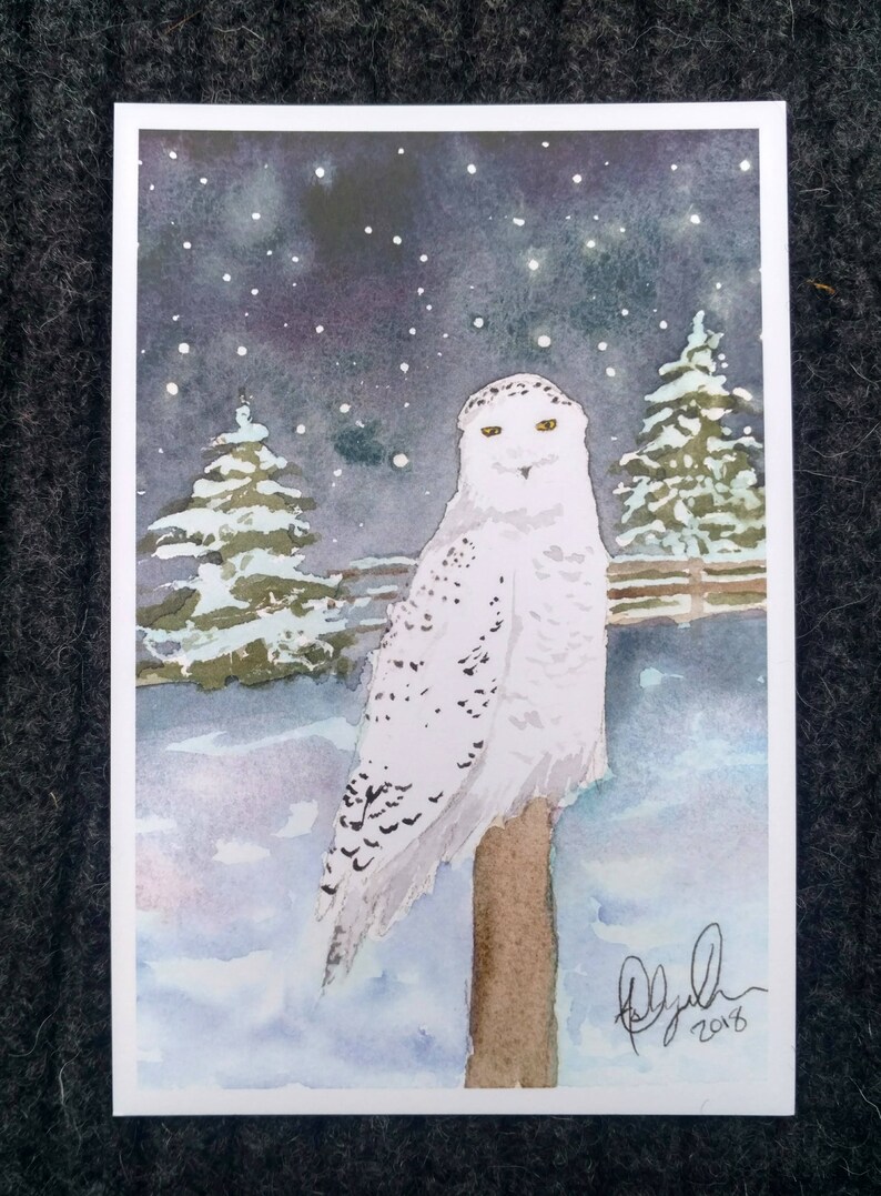 Puede incluir: Una pintura de acuarela de un b&uacute;ho nival posado en una rama en un bosque nevado. El b&uacute;ho tiene ojos amarillos y plumas blancas con marcas negras. El fondo es un cielo azul oscuro con estrellas blancas y nieve que cae.